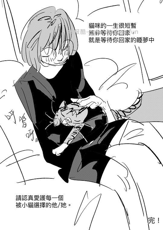 讨论/【科普】給貓做飯？很簡單！熟自製科普原創短篇小漫畫 - 线报酷