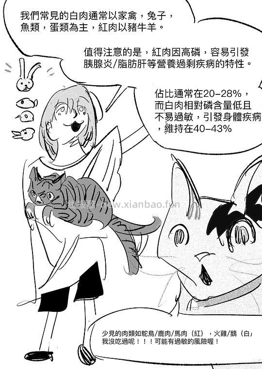 讨论/【科普】給貓做飯？很簡單！熟自製科普原創短篇小漫畫 - 线报酷