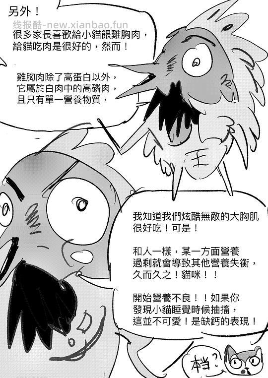 讨论/【科普】給貓做飯？很簡單！熟自製科普原創短篇小漫畫 - 线报酷