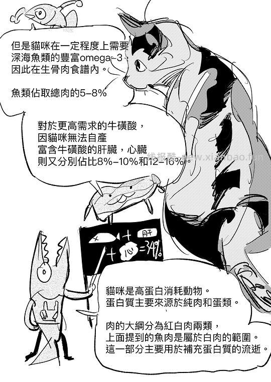 讨论/【科普】給貓做飯？很簡單！熟自製科普原創短篇小漫畫 - 线报酷