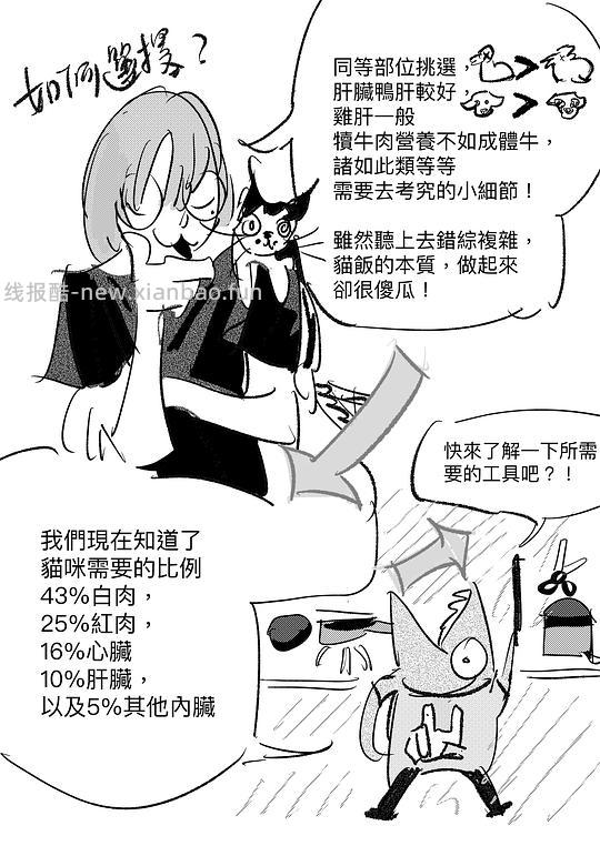 讨论/【科普】給貓做飯？很簡單！熟自製科普原創短篇小漫畫 - 线报酷
