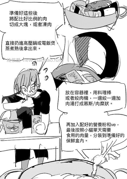 讨论/【科普】給貓做飯？很簡單！熟自製科普原創短篇小漫畫 - 线报酷