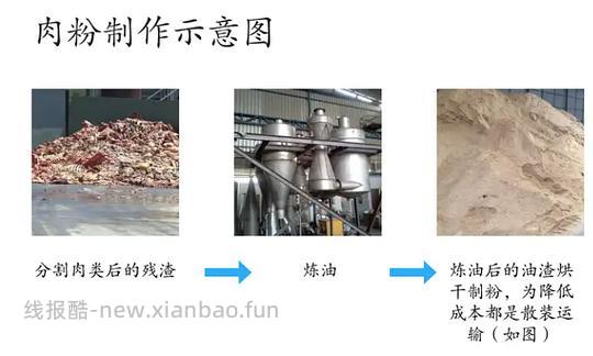 讨论/【科普】肉粉简直是商业粮里最恶心的潜规则 - 线报酷