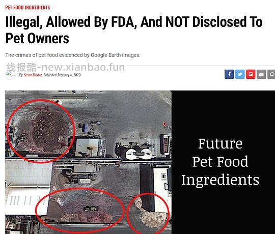 讨论/【科普】肉粉简直是商业粮里最恶心的潜规则 - 线报酷