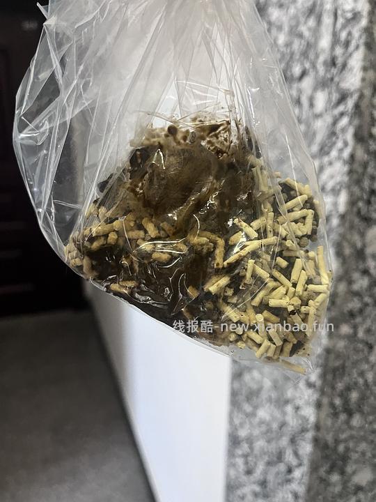 讨论/【科普】车前壳子粉太好用了吧啊啊啊 - 线报酷