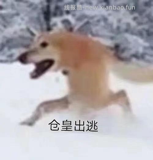 【教程】分享搬家好物及注意事项 - 线报酷