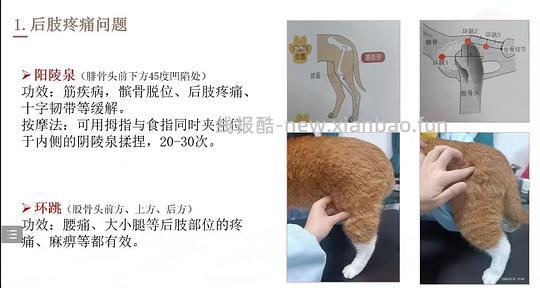 【科普】穴位按摩分享 - 线报酷