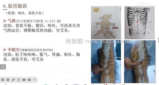 【科普】穴位按摩分享 - 线报酷