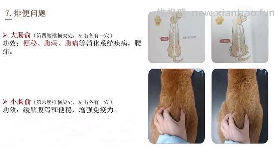 【科普】穴位按摩分享 - 线报酷