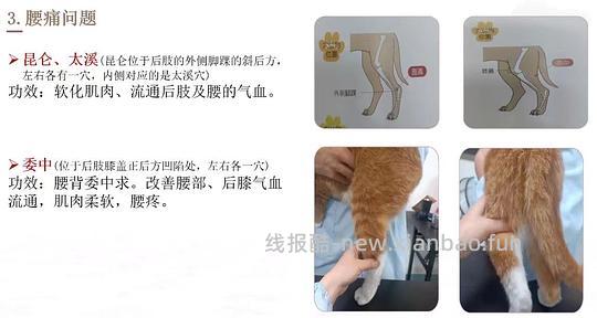 【科普】穴位按摩分享 - 线报酷