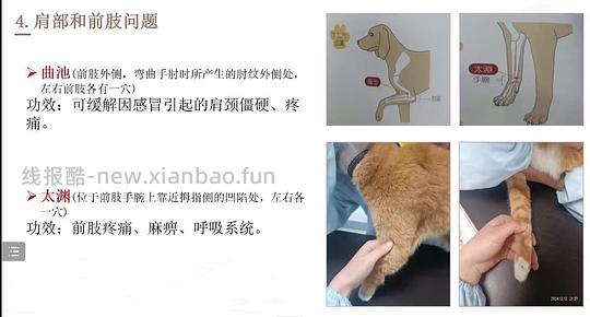 【科普】穴位按摩分享 - 线报酷