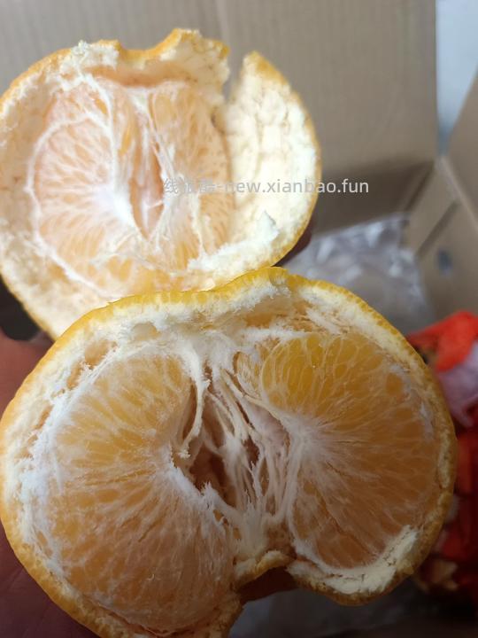 耙耙柑五斤大果 1.2车走（含反馈） - 线报酷