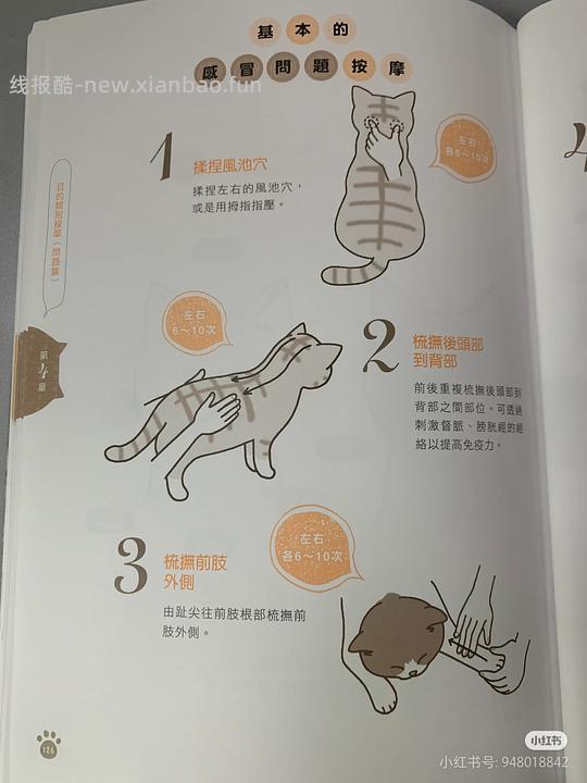 讨论/【科普】猫鼻支治疗相关经验分享 - 线报酷