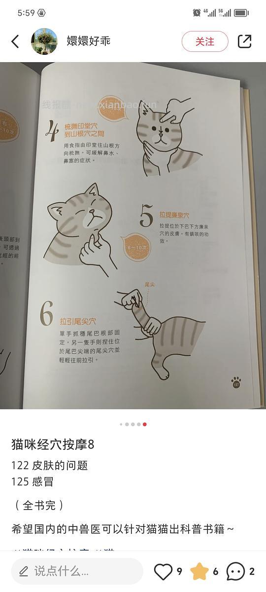 讨论/【科普】猫鼻支治疗相关经验分享 - 线报酷