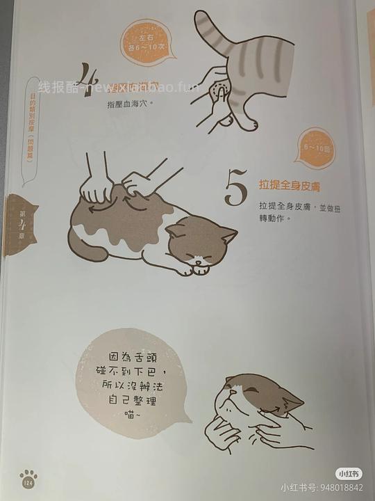 讨论/【科普】猫鼻支治疗相关经验分享 - 线报酷