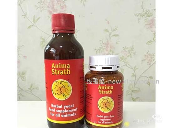 讨论/【科普】猫鼻支治疗相关经验分享 - 线报酷