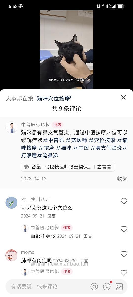 讨论/【科普】猫鼻支治疗相关经验分享 - 线报酷