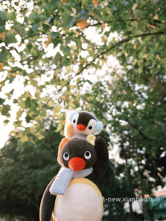 进来看楼主全家福！🐧pingu我至死都会暴烈地爱你❤️🥵🔥深夜简单车🚕刚需价约36一个断货款旗开得胜gu🏆不d别进😡 - 线报酷