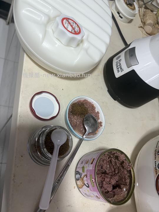 【科普】捡到一只小流浪怎么办！新猫到家干货省流贴！ - 线报酷