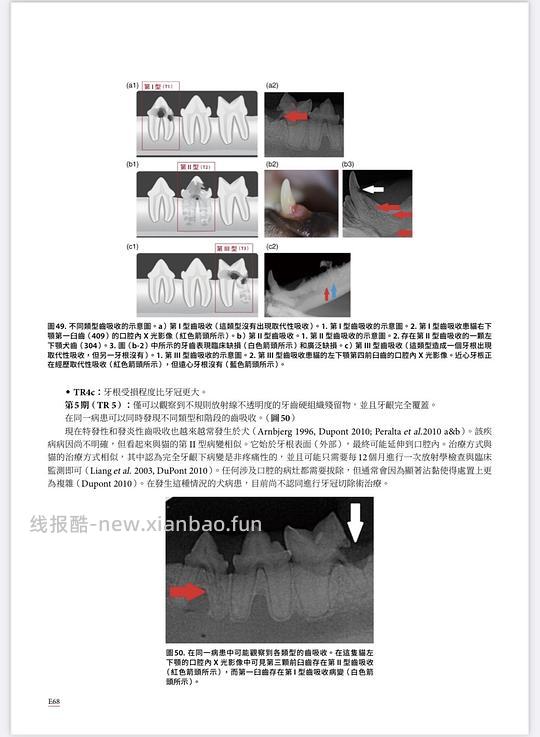 讨论/【科普】八岁小猫牙吸收 拔牙经验分享 - 线报酷