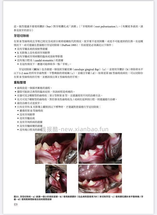 讨论/【科普】八岁小猫牙吸收 拔牙经验分享 - 线报酷