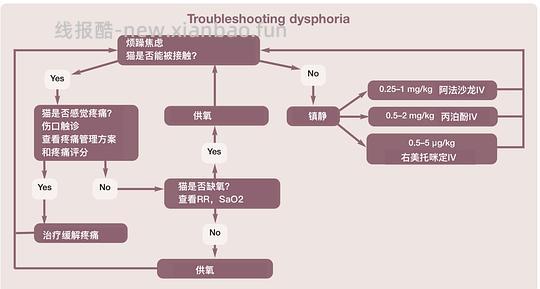 【科普】[养猫笔记07]麻醉（Anesthesia）（下） - 线报酷