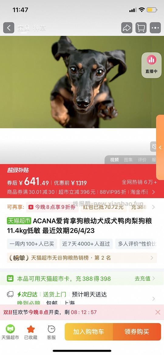 爱肯拿鸭肉梨狗粮600多点（更便宜啦！！！565）🚗走 - 线报酷