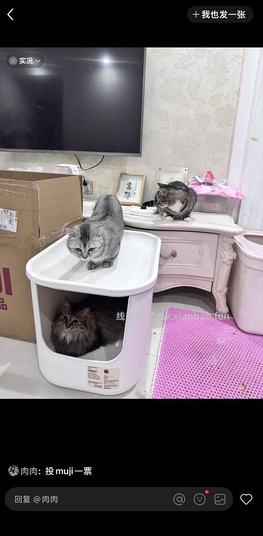 muji猫砂盆到手95+一个 - 线报酷
