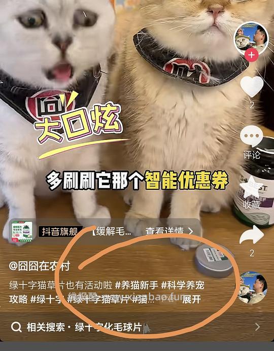 美士一分为二餐盒 6盒价格大约20-21之间 - 线报酷