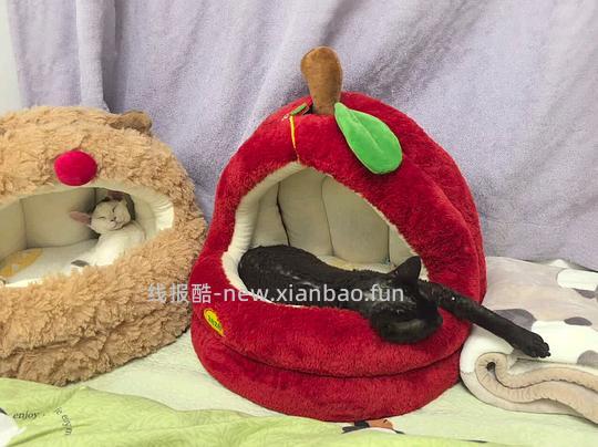 zeze蒙古包麋鹿猫窝44r左右（主楼更新有货地区） - 线报酷