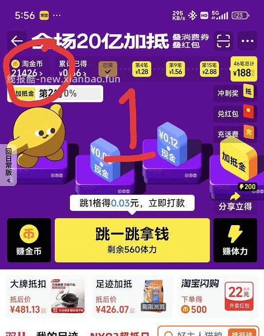 海外旗舰金素12磅173 - 线报酷