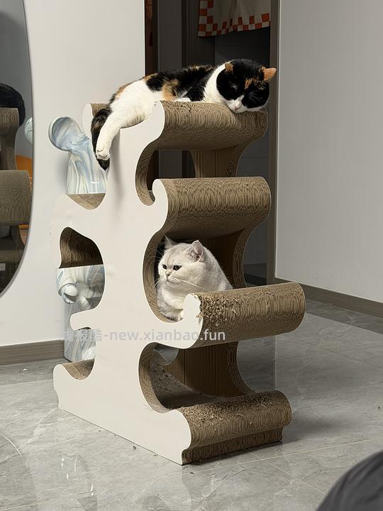 诚实一口P40猫粮12kg8袋💰不到300 - 线报酷