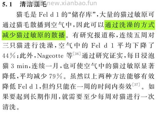 讨论/【科普】关于猫毛过敏患者养猫的必备措施及脱敏办法（附医院清单🏥 - 线报酷