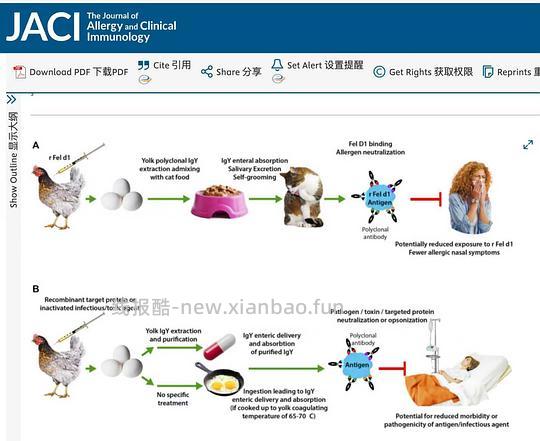 讨论/【科普】关于猫毛过敏患者养猫的必备措施及脱敏办法（附医院清单🏥 - 线报酷