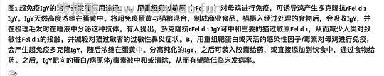 讨论/【科普】关于猫毛过敏患者养猫的必备措施及脱敏办法（附医院清单🏥 - 线报酷