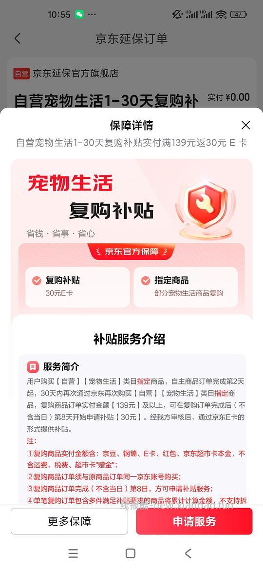 车走流浪猫车 - 线报酷