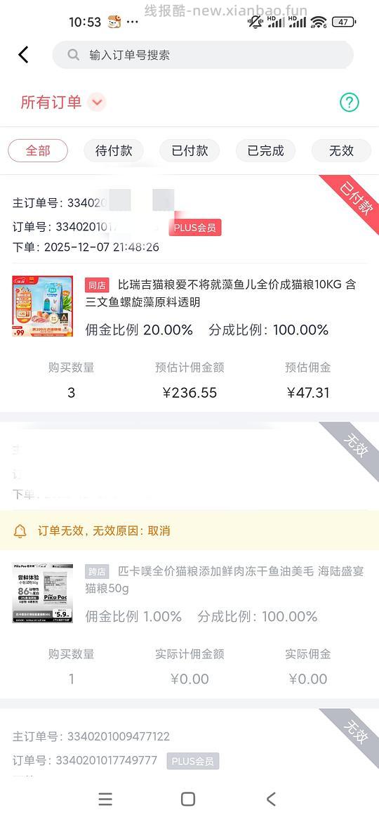 车走流浪猫车 - 线报酷