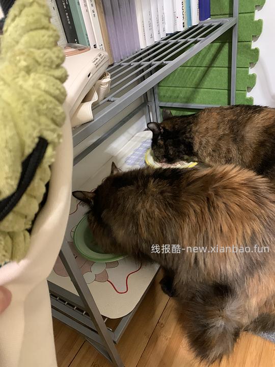 讨论/【科普】最简熟自制（好吃版）详细流程附器具清单 - 线报酷