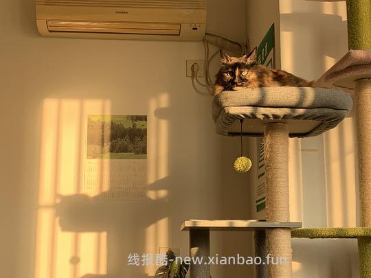 讨论/【科普】最简熟自制（好吃版）详细流程附器具清单 - 线报酷