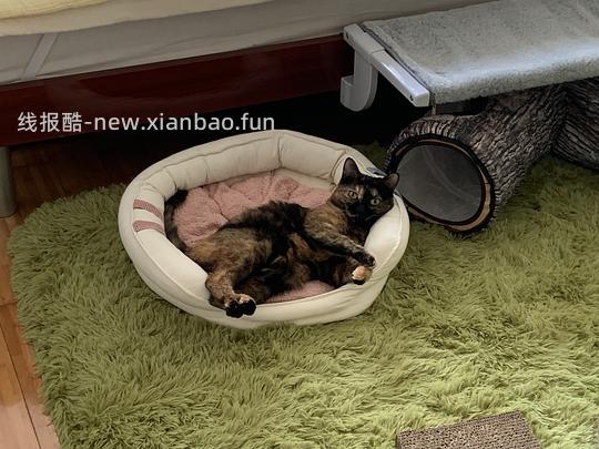 讨论/【科普】最简熟自制（好吃版）详细流程附器具清单 - 线报酷