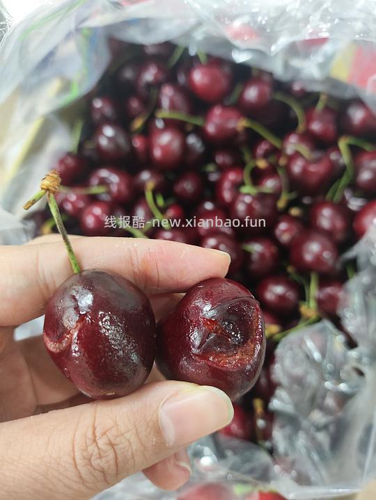 奥乐齐车厘子2j 105.2 - 线报酷