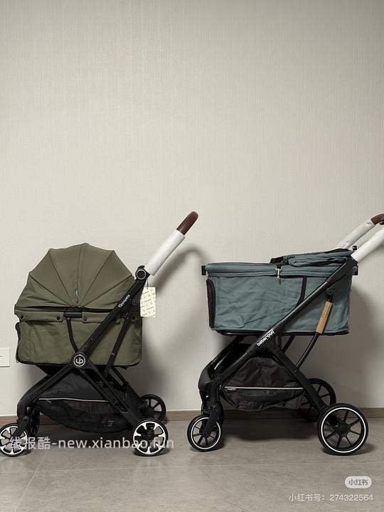 BebeRoad T4或R5 pro宠物推车 - 线报酷