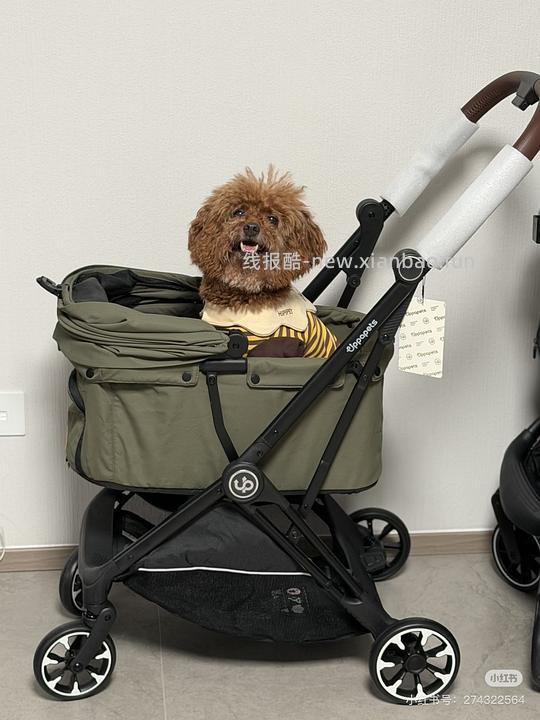 BebeRoad T4或R5 pro宠物推车 - 线报酷
