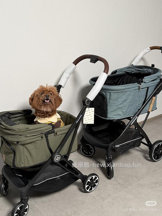 BebeRoad T4或R5 pro宠物推车 - 线报酷