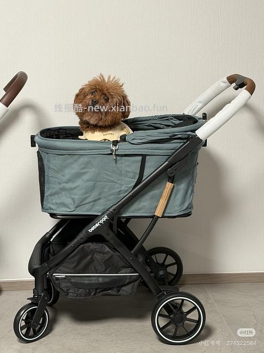 BebeRoad T4或R5 pro宠物推车 - 线报酷