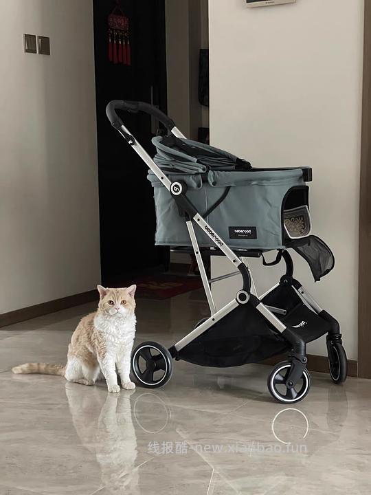 BebeRoad T4或R5 pro宠物推车 - 线报酷