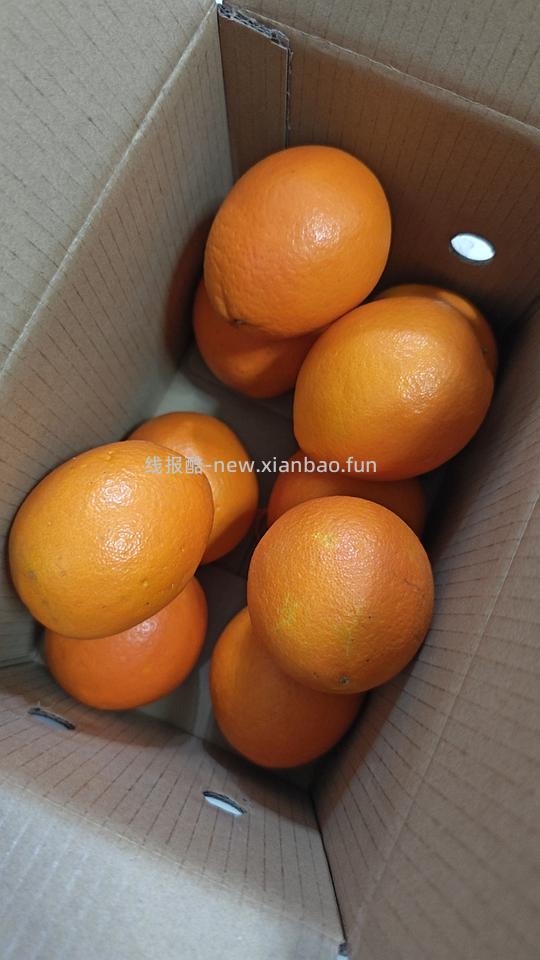 jd脐橙4.5斤9.9r - 线报酷