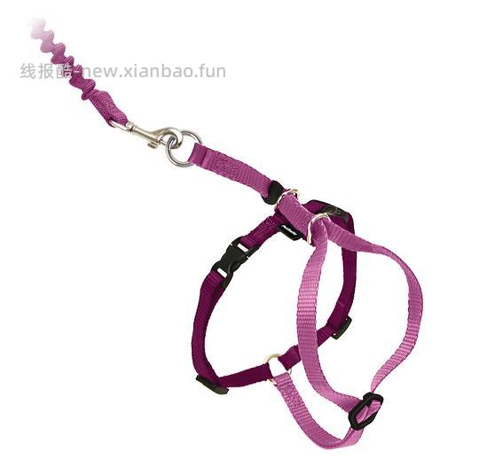 petsafe牵引绳粉色大号69-73 - 线报酷