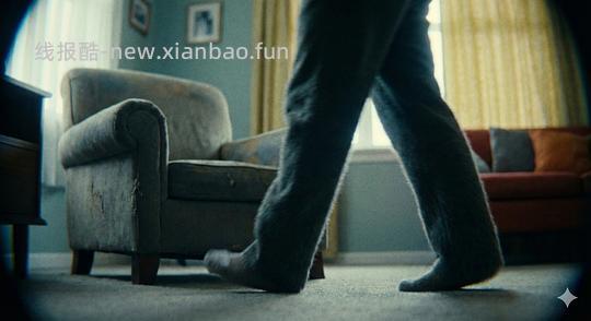 讨论/【科普】猫眼里看到的世界和猫并不想看的世界💁🏻请停止幻想，猫不需要这些 - 线报酷