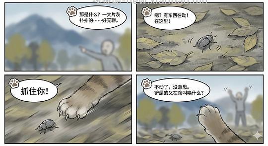 讨论/【科普】养猫科普漫画，不定期更新中（2.10 更新封窗、新手养猫误区科普） - 线报酷